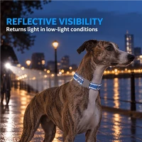 Reflektierendes, gepolstertes Hundehalsband