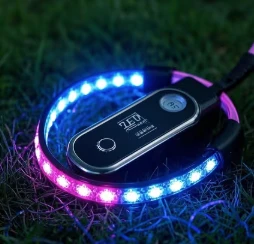 LED -Hundelise