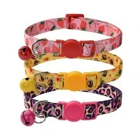 Kitten Collar Kitten Collar