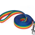 Regenbogen-Nylon-Hundeleine