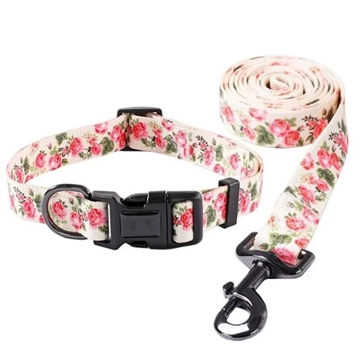 Sublimations-Hundehalsband-Set